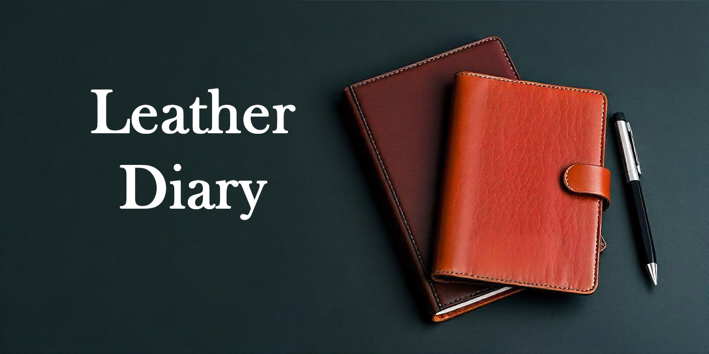 Leather Diary Image